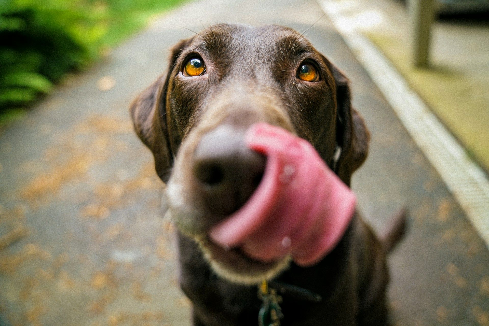 wp-content/uploads/2024/08/james-barker-v3-zcCWMjgM-unsplash.jpg