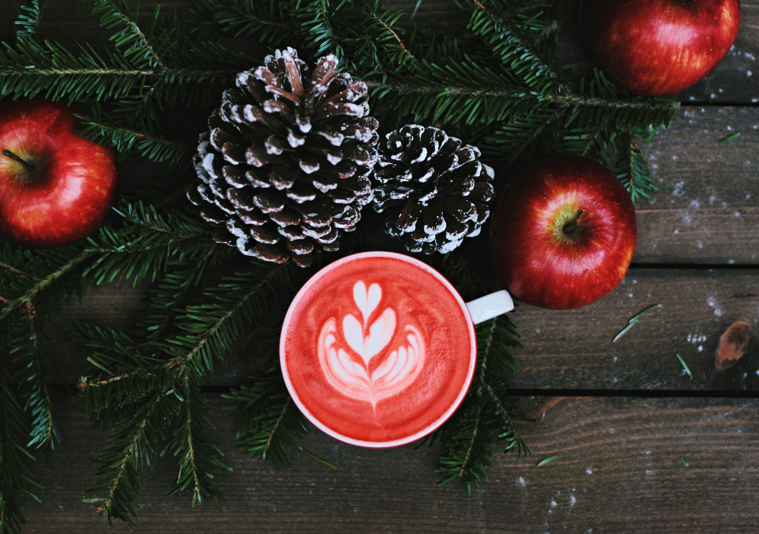 wp-content/uploads/2024/12/toa-heftiba-WsDF95mSUsI-unsplash-scaled.jpg